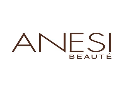 Logo de Anesi