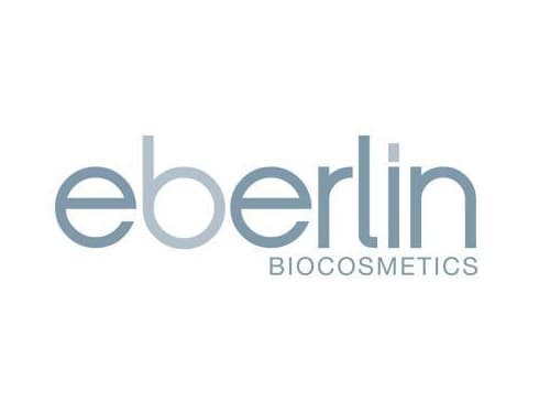 Logo de Eberlin